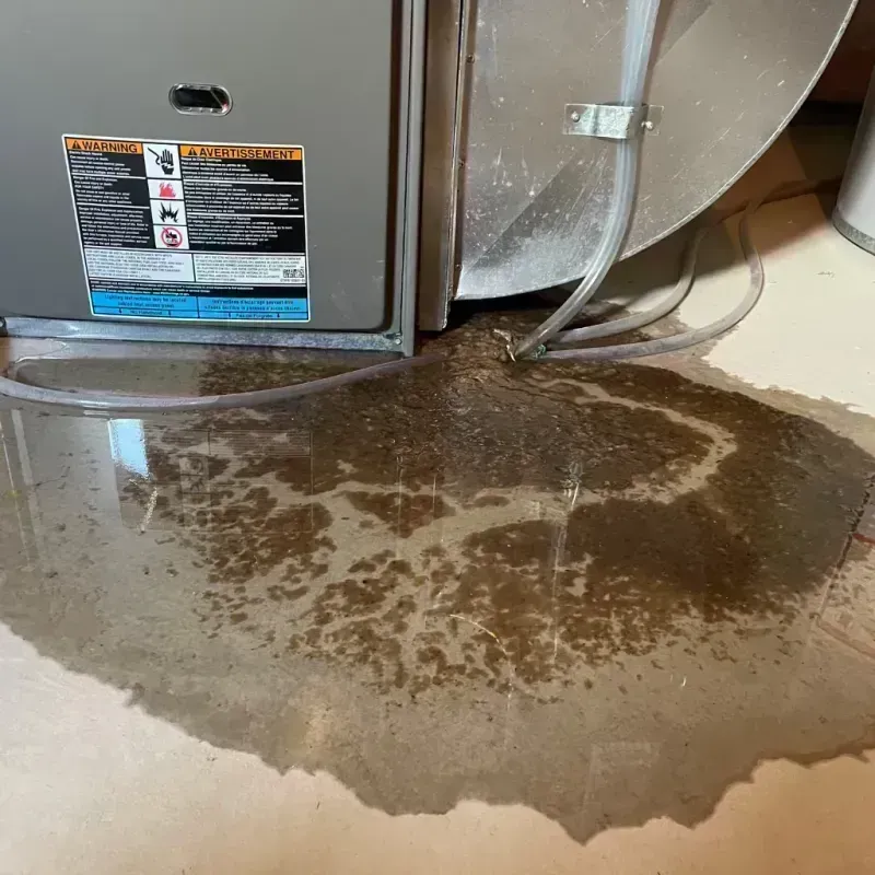 Appliance Leak Cleanup in Columbine, CO